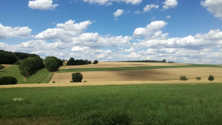 Sweeping views over green and golden fields under a blue sky with clouds.