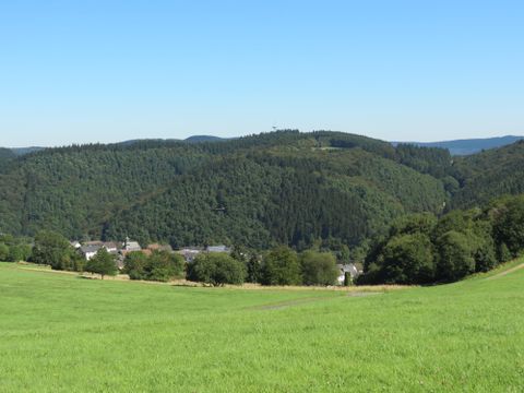 A green, expansive meadow with gentle hills in the background. The sky is clear and blue, and the landscape is surrounded by trees.