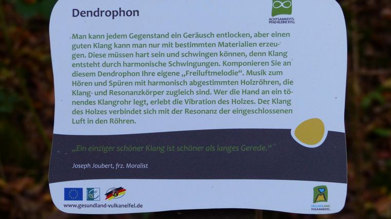An information sign about the dendrophon, a sound instrument made of wood. It describes how to create various sounds by striking different woods.