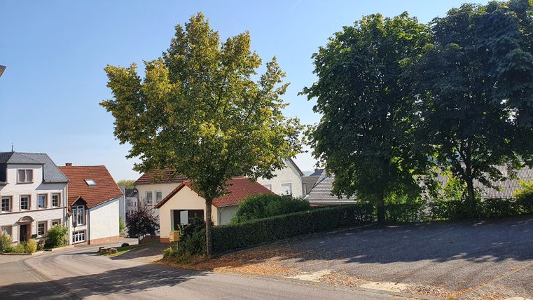 Dorfstraße in Sülm mit Häusern und Bäumen bei sonnigem Wetter.