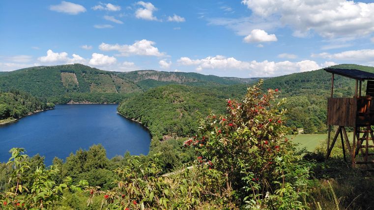 Un paysage paisible avec un lac bleu, entouré de collines vertes et d'arbres. Au premier plan, il y a des buissons colorés et un point de vue.