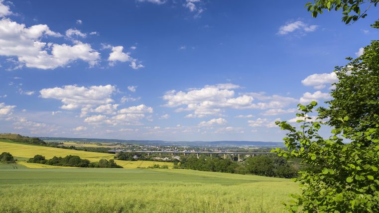 Een uitgestrekt landschap met groene velden en verspreide bomen. De lucht is blauw en bezaaid met witte wolken.