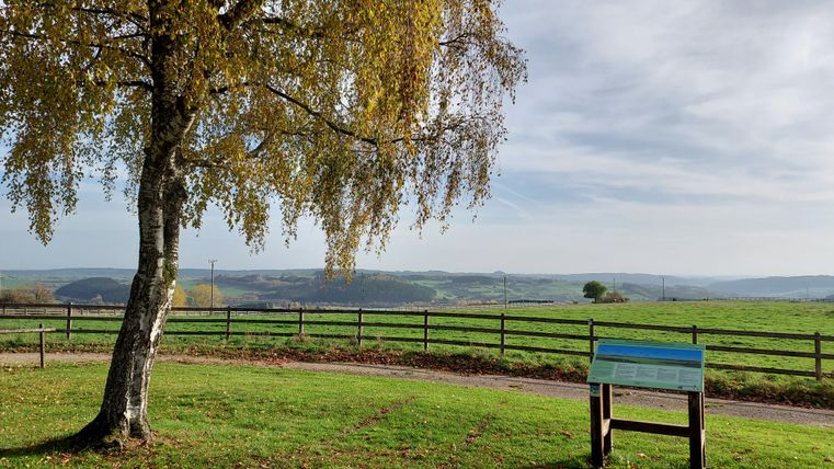 Landschapsgezicht in Kronenburg met boom, weiland en informatiebord op de voorgrond.