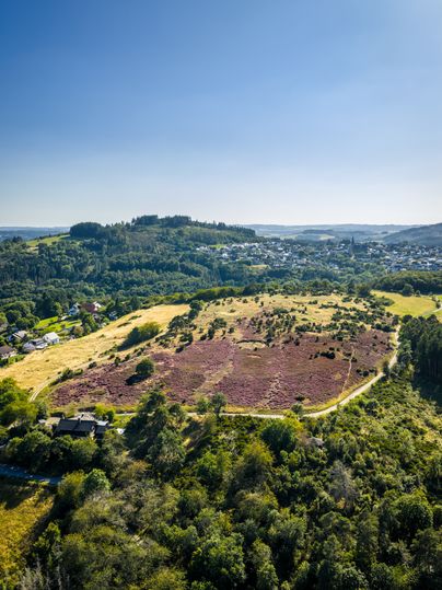 Luftaufnahme von blühender Heide in hügeliger Landschaft