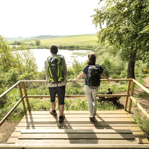 ET-2019-354-Vulcanpfad, Eichholzmaar ©, © Eifel Tourismus GmbH, Dominik Ketz