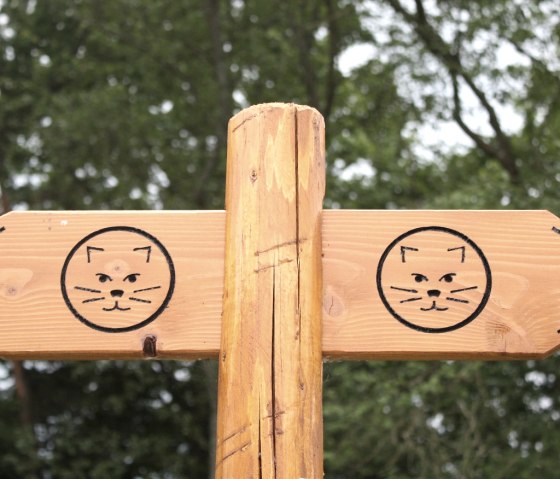 Wilderness trail signage, © Nationalparkverwaltung