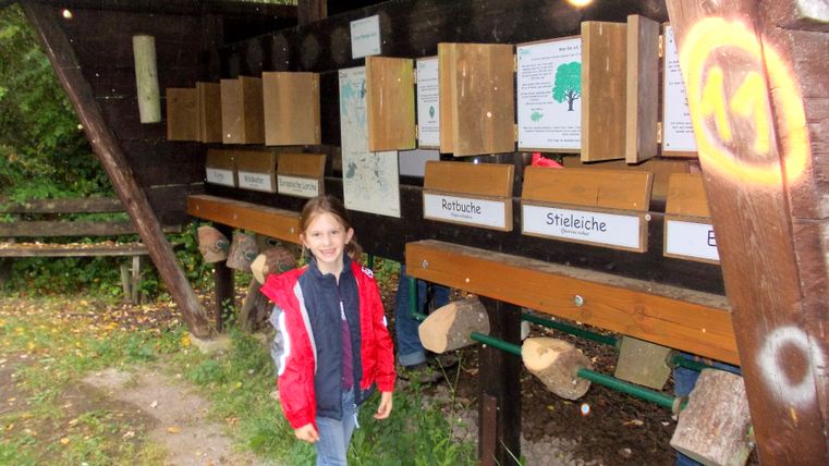 Enfant à une station de découverte de la forêt avec des échantillons de bois.