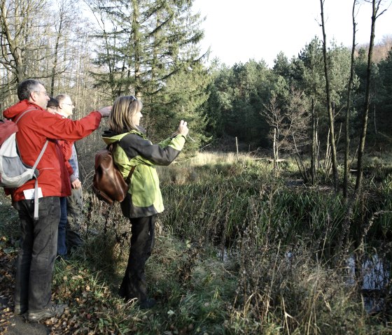 Kijk uit voor de bever, © Rureifel-Tourismus e.V._Giesen