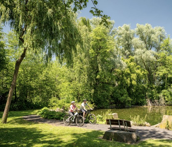 Volcano park fietspad, idyllische eendenvijver bij Plaidt, © Eifel Tourismus GmbH, Dominik Ketz