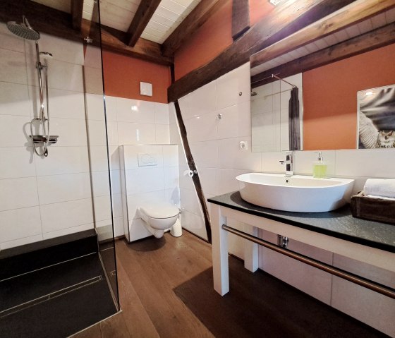 Holiday Apartment "Dorfblick" Shower, © Pannhausen