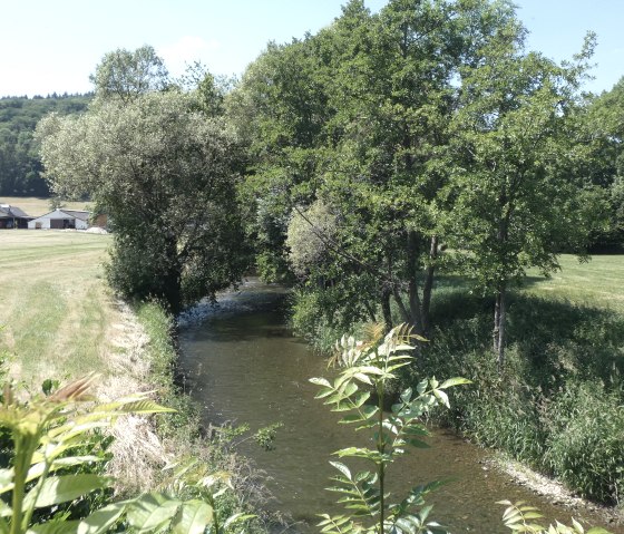 Watercourse by the wayside, © TI Bitburger Land