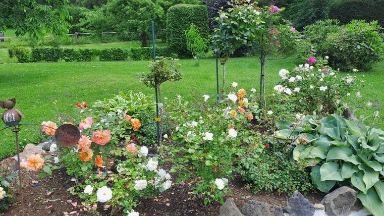 A colorful garden with various flowers and shrubs. In the background, a green meadow can be seen.