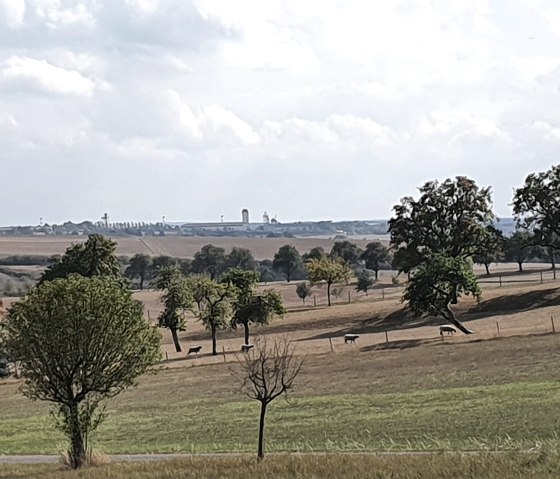Uitgestrekt landschap met verspreide bomen en zicht op de luchtmachtbasis Spangdahlem aan de horizon onder een bewolkte hemel., © TI BItburger Land - Steffi Wagner