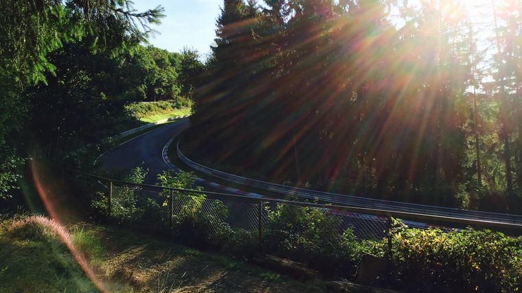 Kurve der Nordschleife im Sonnenlicht, umgeben von Bäumen.
