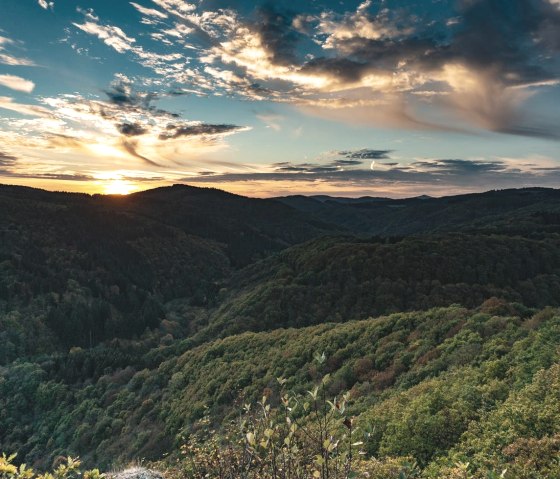 Natur pur, © Foto: Laura Rinneburger, Quelle: Touristik-Büro Vordereifel