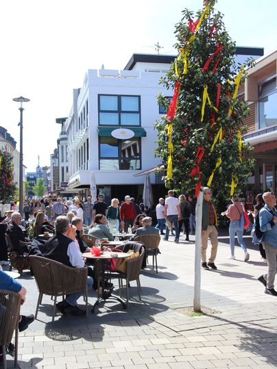 A bustling pedestrian zone with many people and outdoor seating. A decorated tree stands in the center, surrounded by cafés and shops.