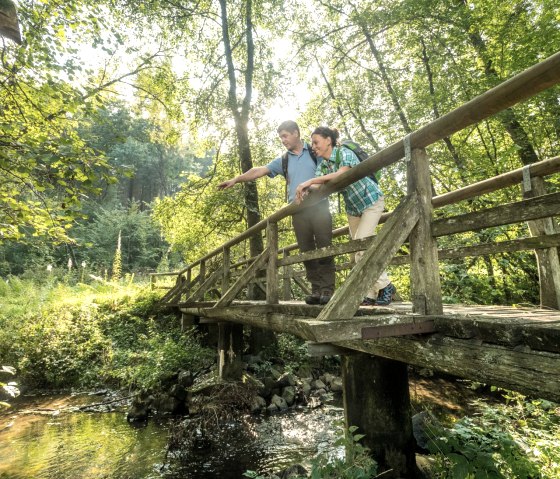 Bridge over the Üssbach stream on the Maare and Thermenpfad hiking trail, © Eifel Tourismus GmbH / D. Ketz
