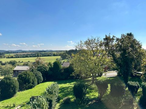 Een uitgestrekt landschap met groene weiden en bomen onder een heldere blauwe lucht. Op de achtergrond zijn zachte heuvels en enkele gebouwen te zien.