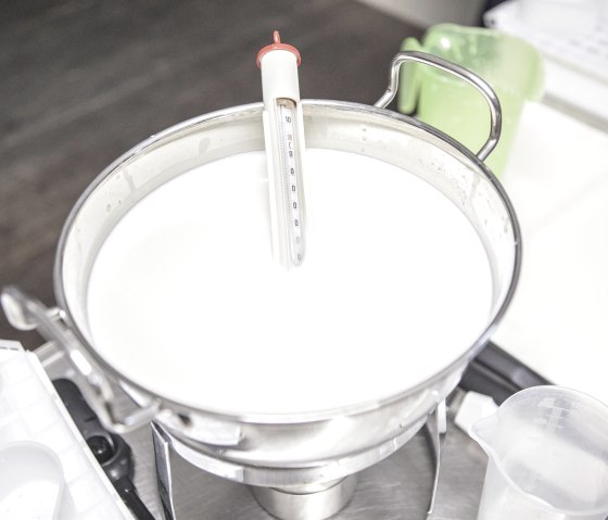 de chèvre dans le chaudron au début de l'école du fromage