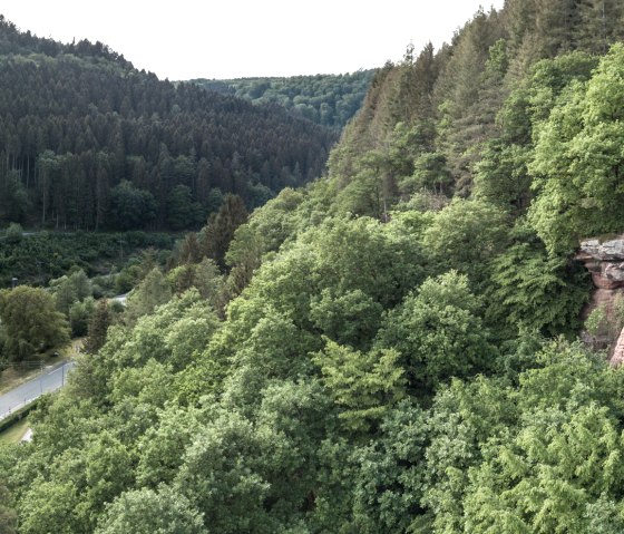 Kauleyrotsen bij Kordel, Eifelsteig etappe 14, © Eifel Tourismus GmbH, D. Ketz
