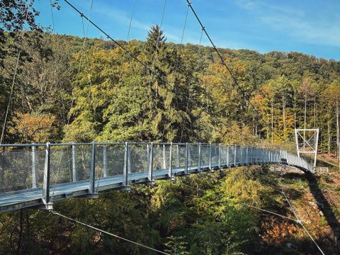 Eine Hängebrücke aus Metall führt über ein tiefes Tal. Um die Brücke herum sind viele Bäume mit grünem und gelbem Laub. Es ist ein sonniger Tag mit blauem Himmel.