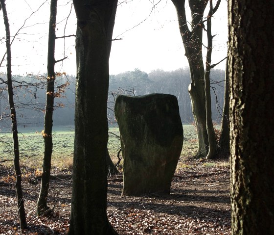 Winterzon - Druïdensteen bij Bollendorf, © Elke Wagner