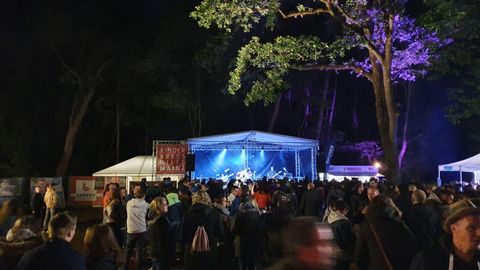 A music festival at night with many people. In the background stands a large stage with colorful lights.