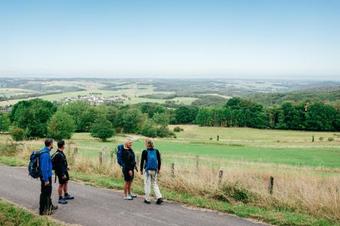 Een groep wandelaars staat op een pad en geniet van het uitzicht op het groene landschap. Op de achtergrond zijn zachte heuvels en een heldere lucht te zien.