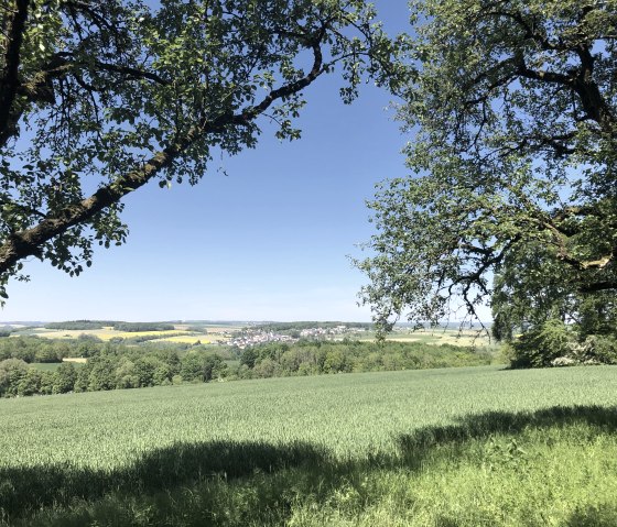Bitburger field and meadow tour, © Tourist-Information Bitburger Land