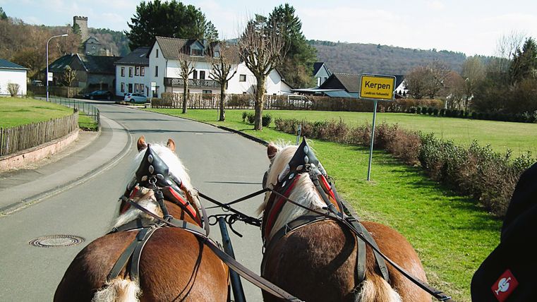 Two brown horses are pulling a cart along a rural road in Kerpen, while houses and hills can be seen in the background.