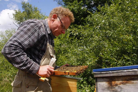 Man is wearing work clothes and holding a board with many bees on it - in the background there are trees and the sky is cloudless.