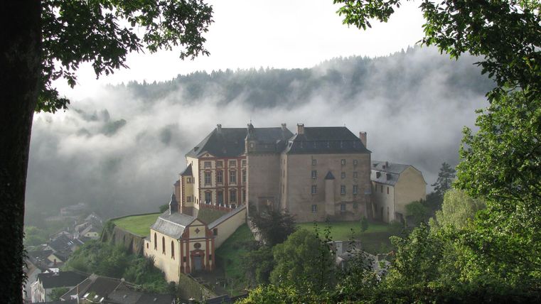 Eine beeindruckende Burg auf einem Hügel, umgeben von Nebel und Bäumen. Die Landschaft wirkt mystisch und idyllisch.