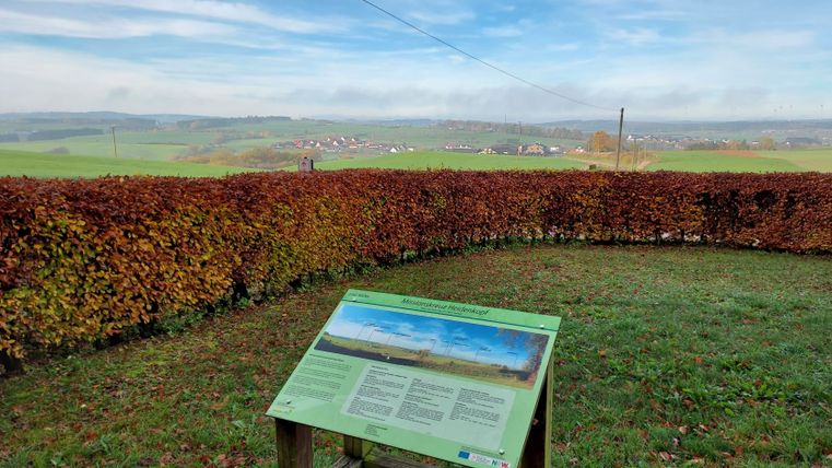 Uitkijkpunt met informatiebord en uitzicht op het groene landschap en het dorp in de verte.