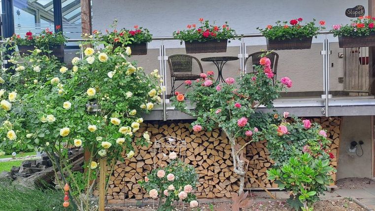 A beautiful balcony with flower boxes full of flowers and a wood storage. In front of the balcony are blooming rose bushes in various colors.