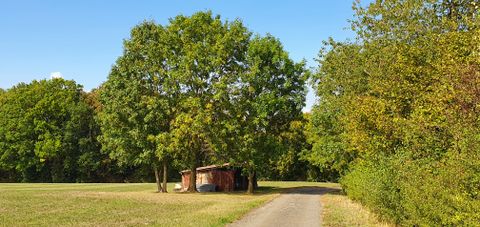 Eine kleine Scheune steht unter Bäumen auf einer Wiese neben einem Weg.