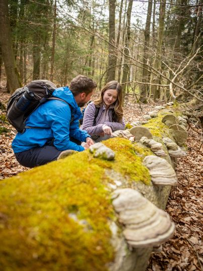 Two people are exploring a forest and looking at a moss-covered tree trunk. In the background, trees and foliage can be seen.