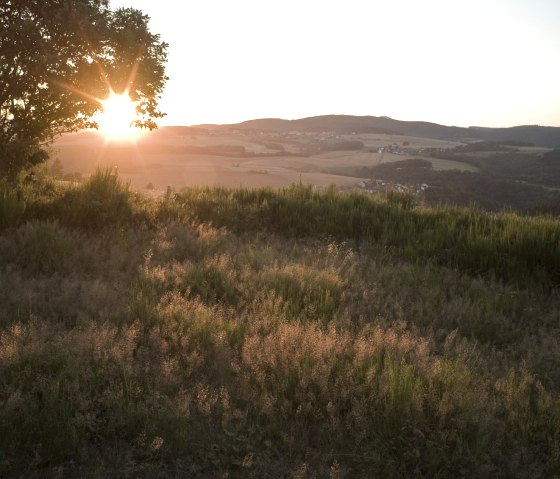 Chemin du château de Virne - Paysage de landes, © Traumpfade/Kappest