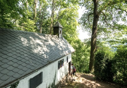 Des merveilles au bord du chemin, © Eifel Tourismus GmbH, Dominik Ketz