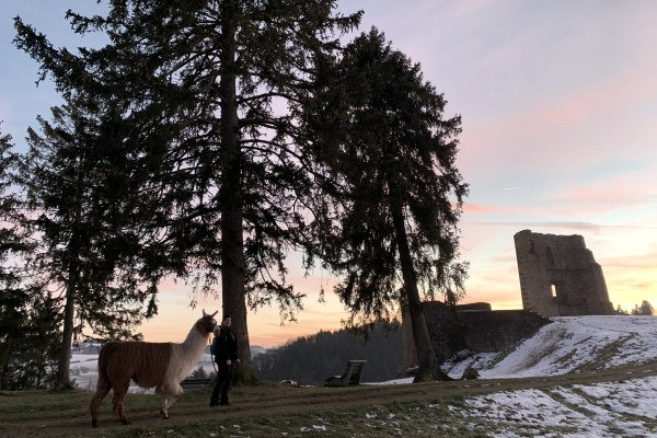 Glühweinwandeling naar de kasteelruïne Schönecken