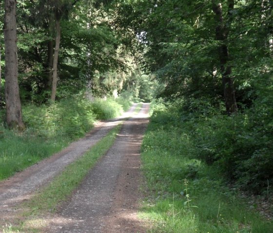 Profiter de la nature