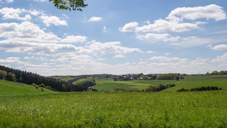 Des prairies et des forêts verdoyantes sous un ciel bleu parsemé de nuages dans la réserve naturelle Erftaue.