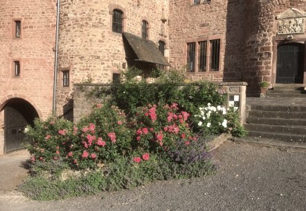 Château de Hamm - Impression