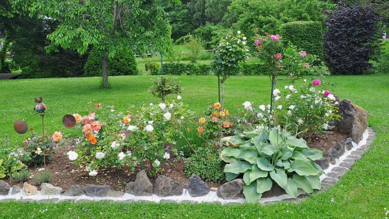 A colorful flower bed with various roses and plants. The garden has a lot of green grass and some decorative elements.