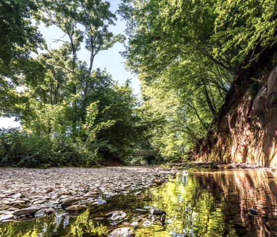 Vue sur la paroi de grès bigarré Roter Puhl, © Eifel Tourismus GmbH, D. Ketz