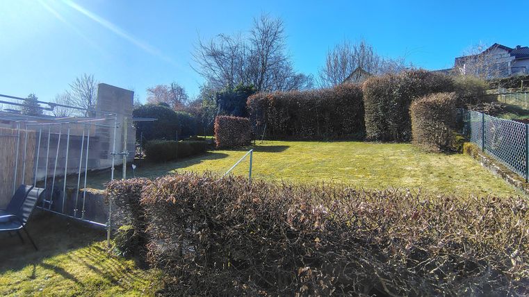 A sunny garden with green grass and a living hedge. In the background, trees and houses are visible.
