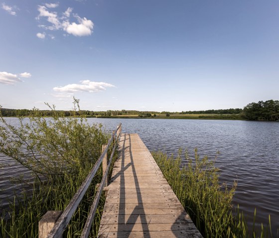 Steg am Jungferweiher