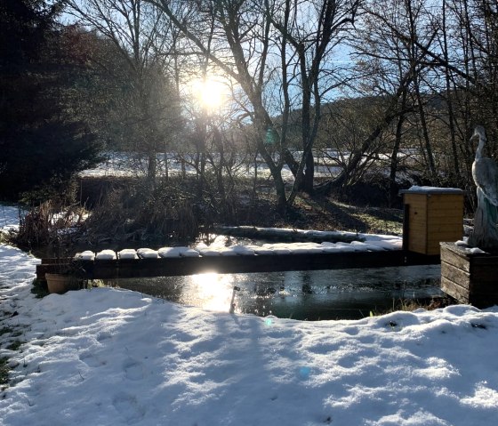 Teich Schnee Sonne
