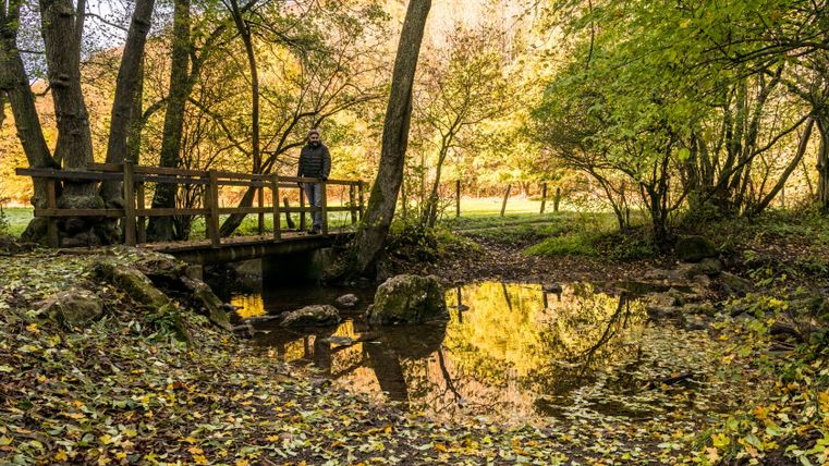 Een man staat op een houten brug over een beekje in een herfstbos.