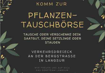 Pflanzen-Tauschbörse, © Dorfteam Langsur