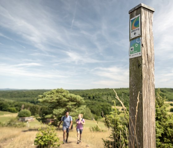 EifelSpur Tuscany of the Eifel, waymarking and view of the landscape, © Eifel Tourismus GmbH, Dominik Ketz